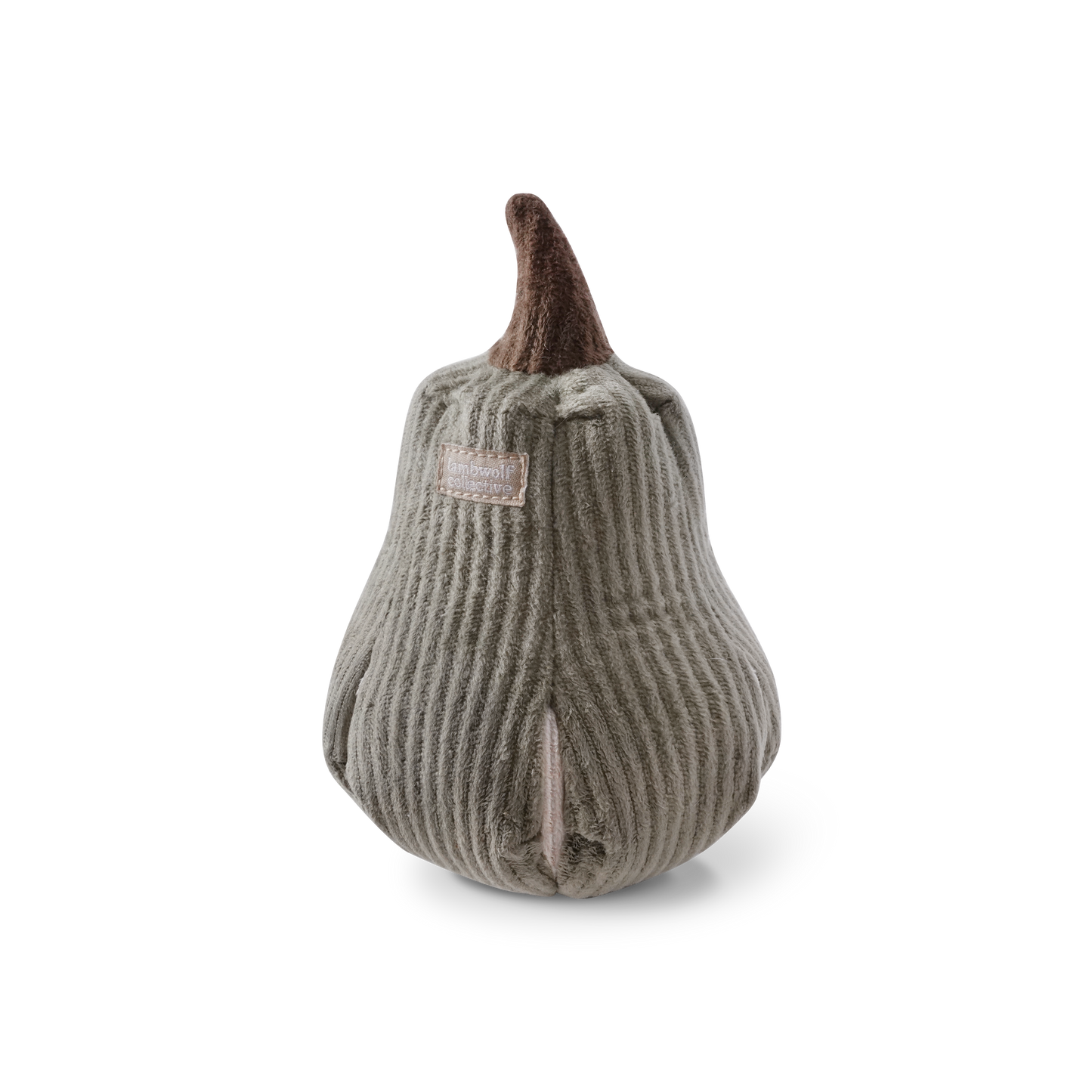 BUTTERNUT | Schnüffelkürbis