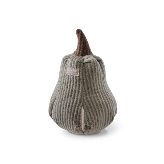 BUTTERNUT | Schnüffelkürbis