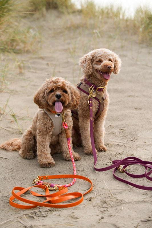 2 - fach - verstellbare Handschlaufe aus Biothane | BOHO CHIC - RudisRudel