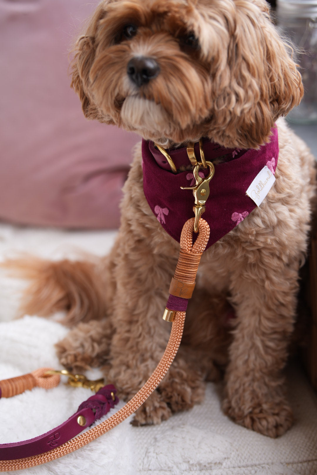 Mix & Match Set | Handschlaufe + Halsband Fettleder & Unterteil Tauseil | BOHO CHIC