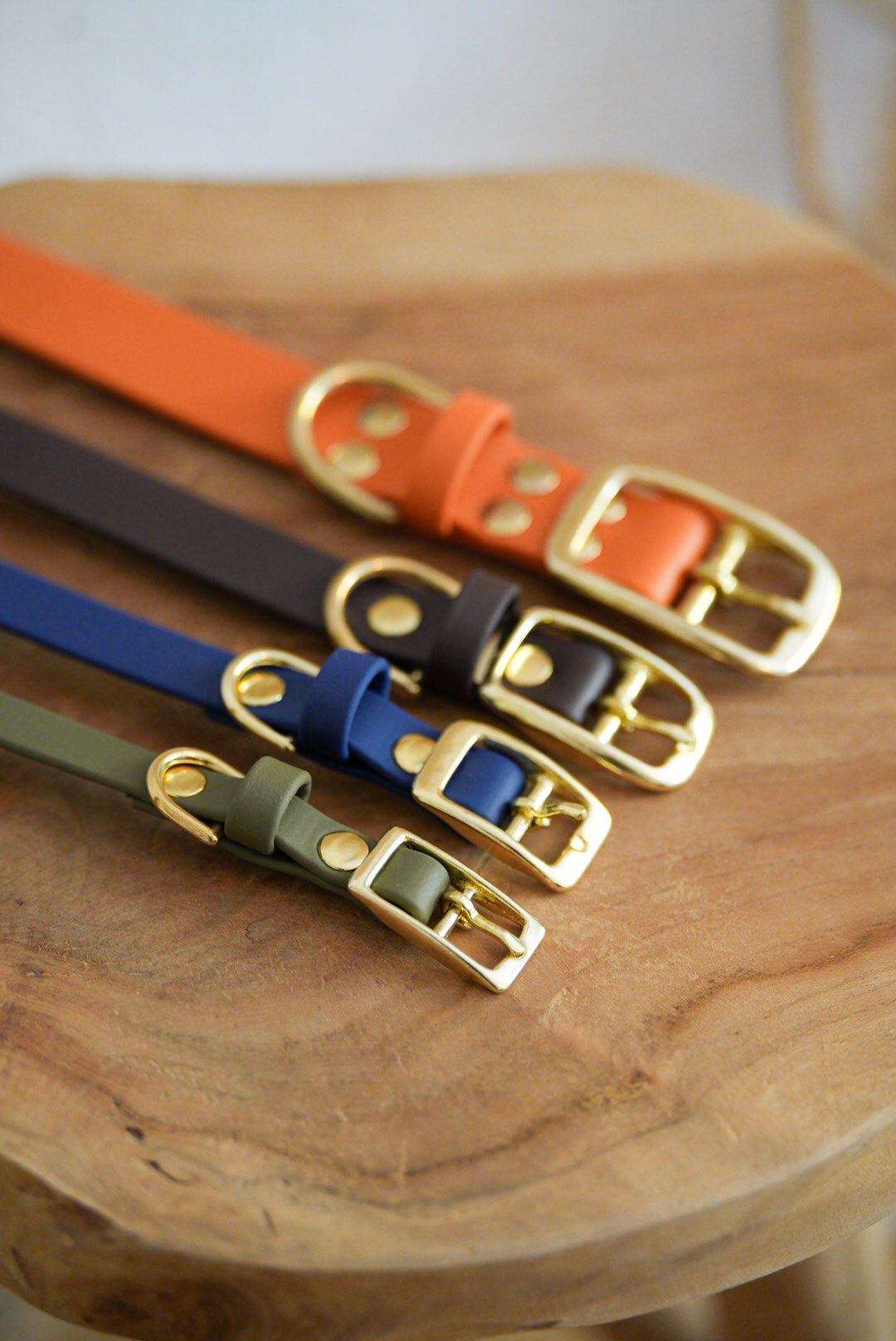 Halsband aus Biothane | BOHO CHIC