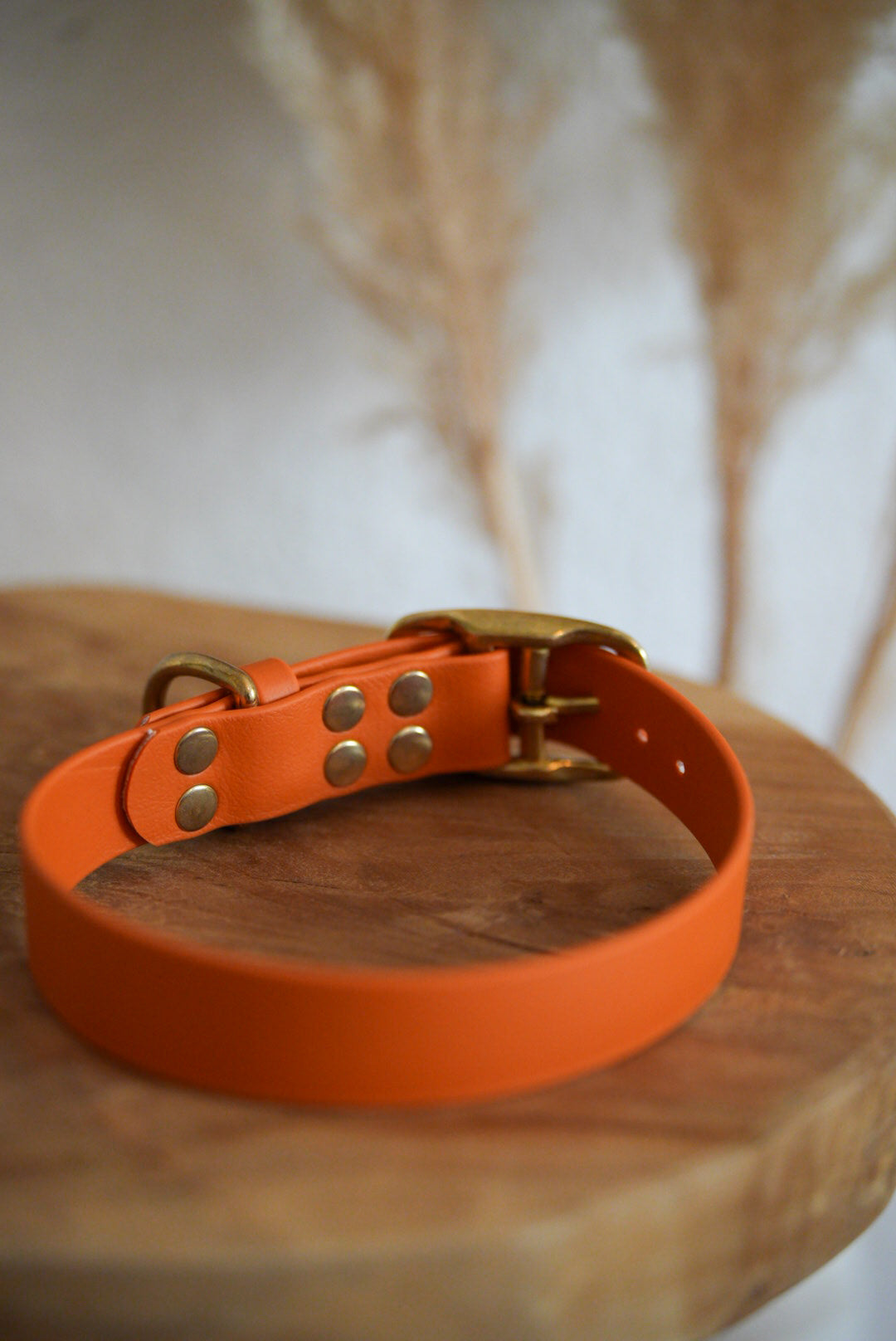 Halsband aus Biothane | BOHO CHIC