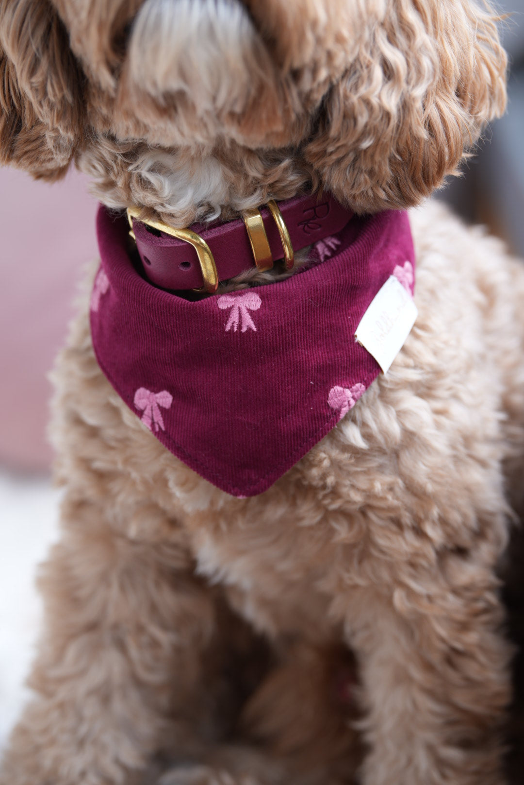 LITTLE BOWS | Halstuch