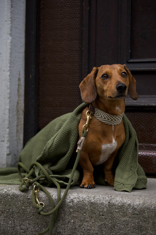 COCO | Kuscheldecke oliv
