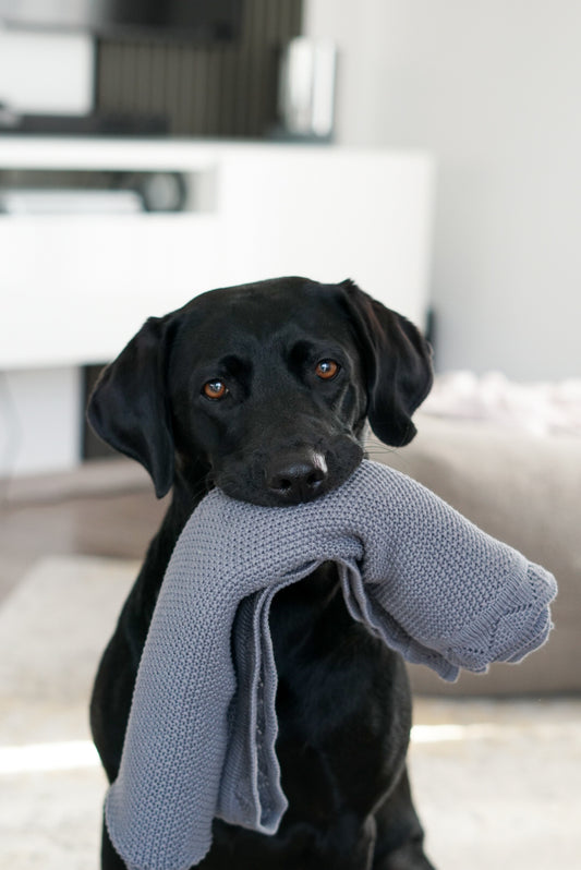 COCO | Kuscheldecke grau