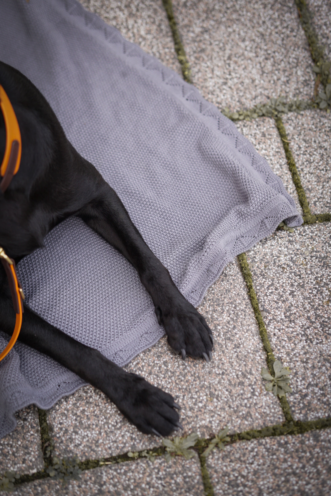 COCO | Kuscheldecke grau