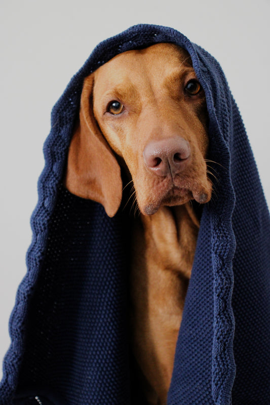 COCO | Kuscheldecke dunkelblau