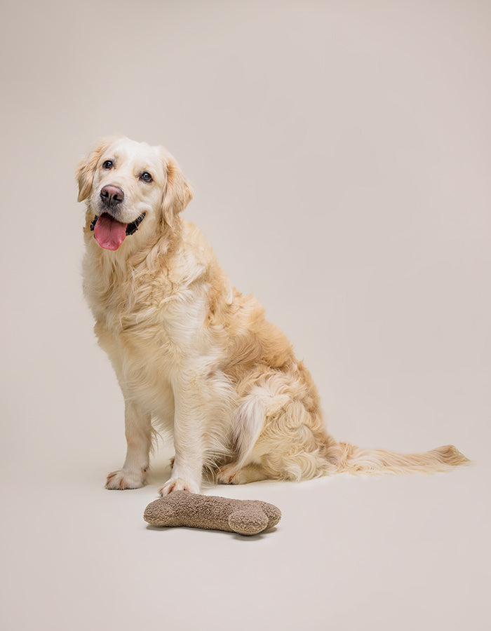 FETCH | Hundespielzeug