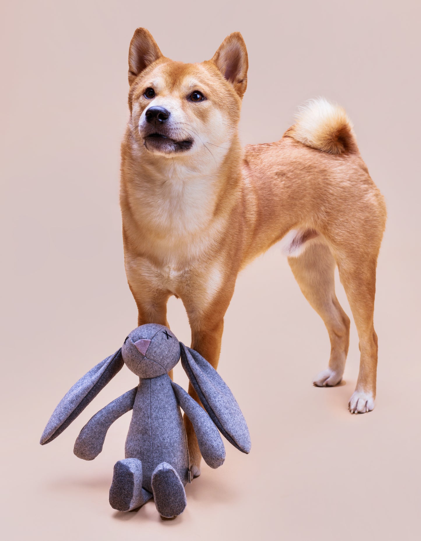 RUPERT | Hundespielzeug