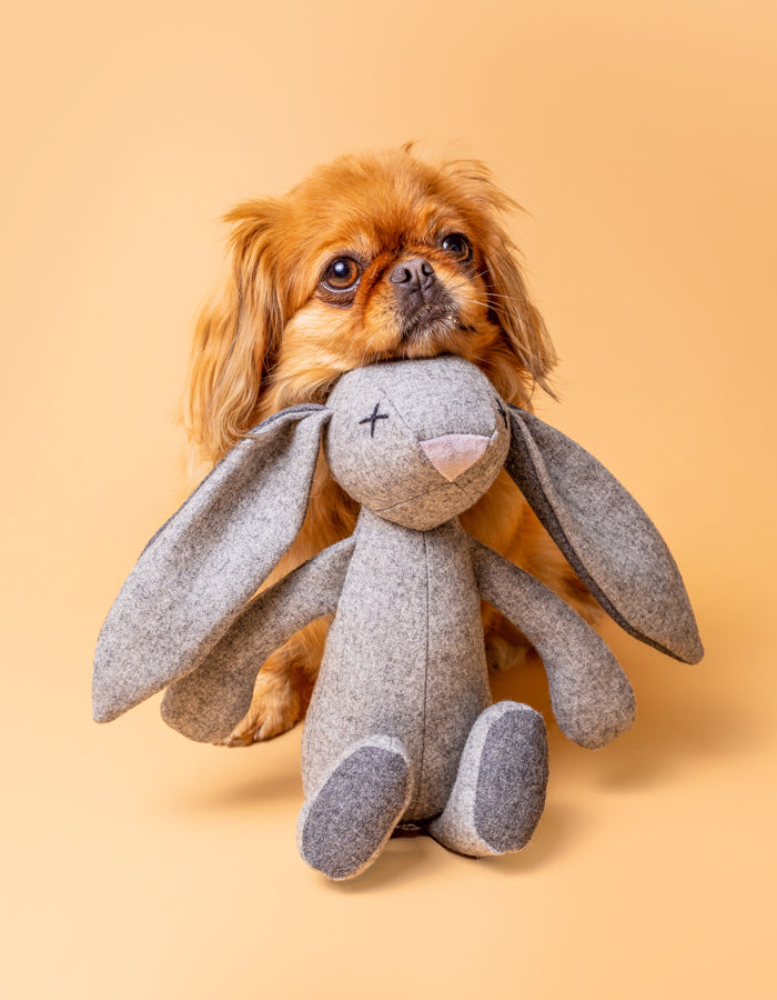 RUPERT | Hundespielzeug