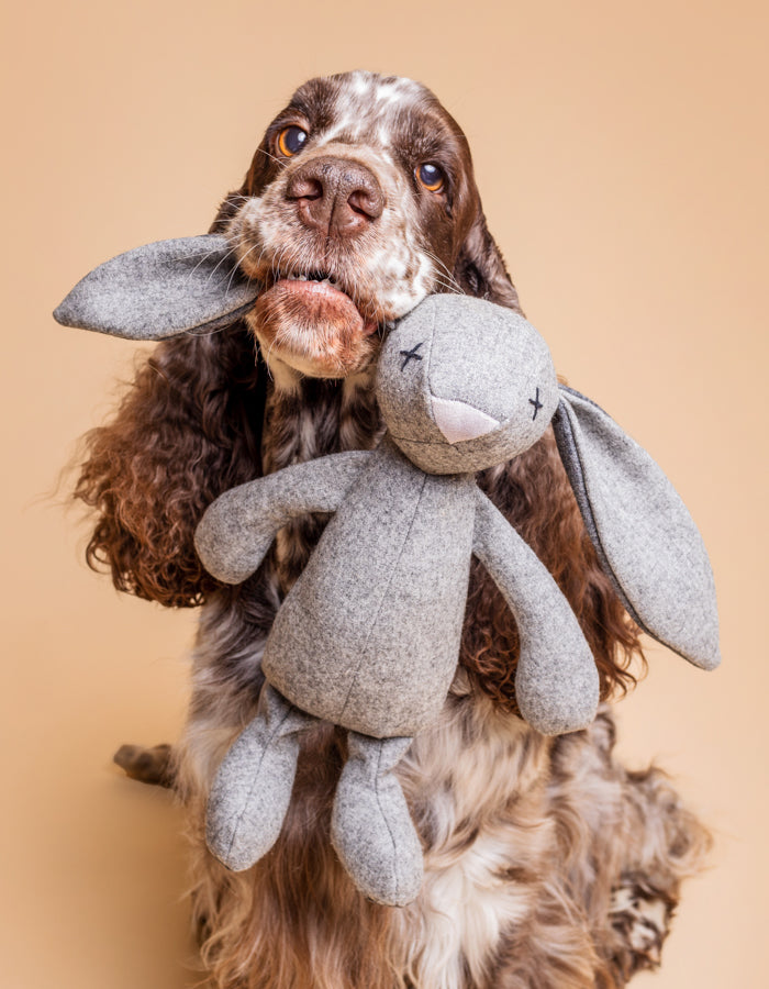 RUPERT | Hundespielzeug