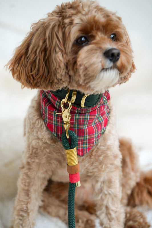 CHRISTMAS CHARM | Wendehalstuch CHRISTMAS EDITION - RudisRudel