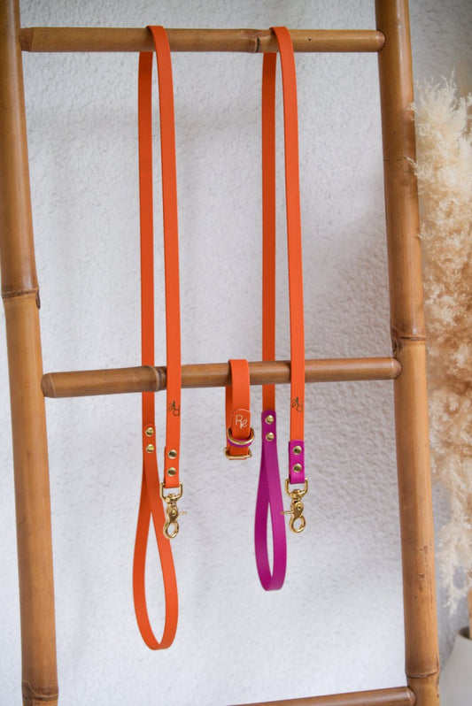 Cityleine aus Biothane | COLOUR CLASH - RudisRudel
