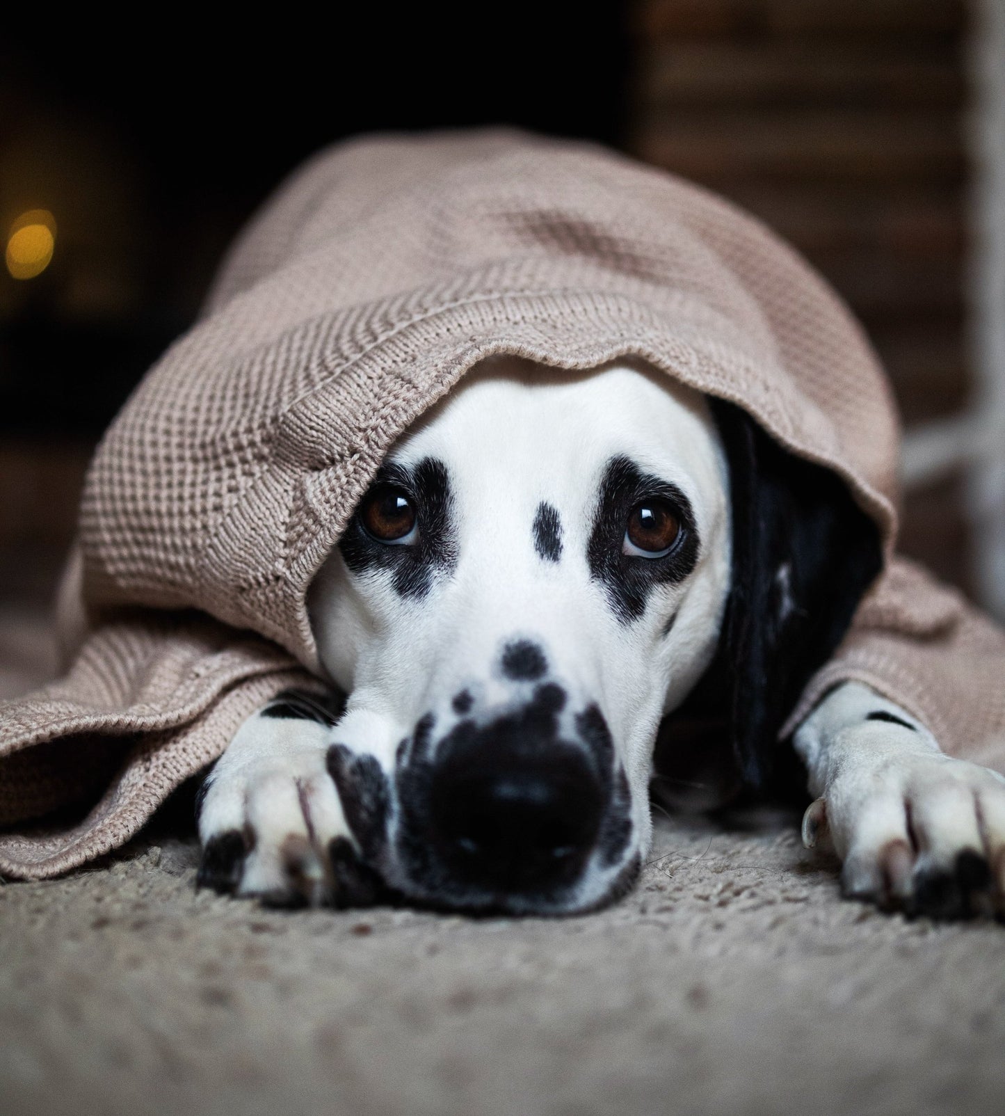 COCO | Kuscheldecke - RudisRudel