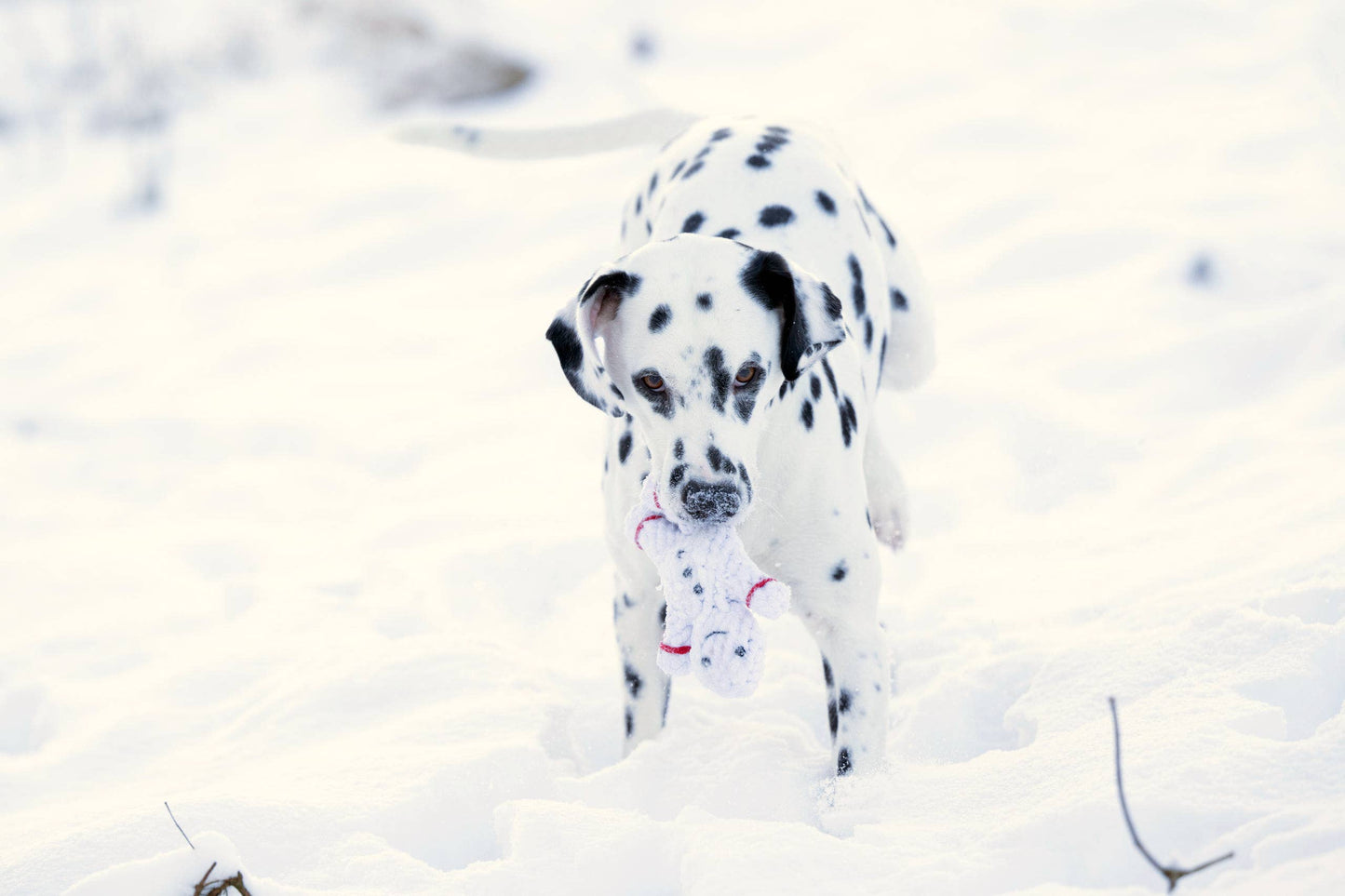 SHAWN DER SCHNEEMANN | Kauspielzeug