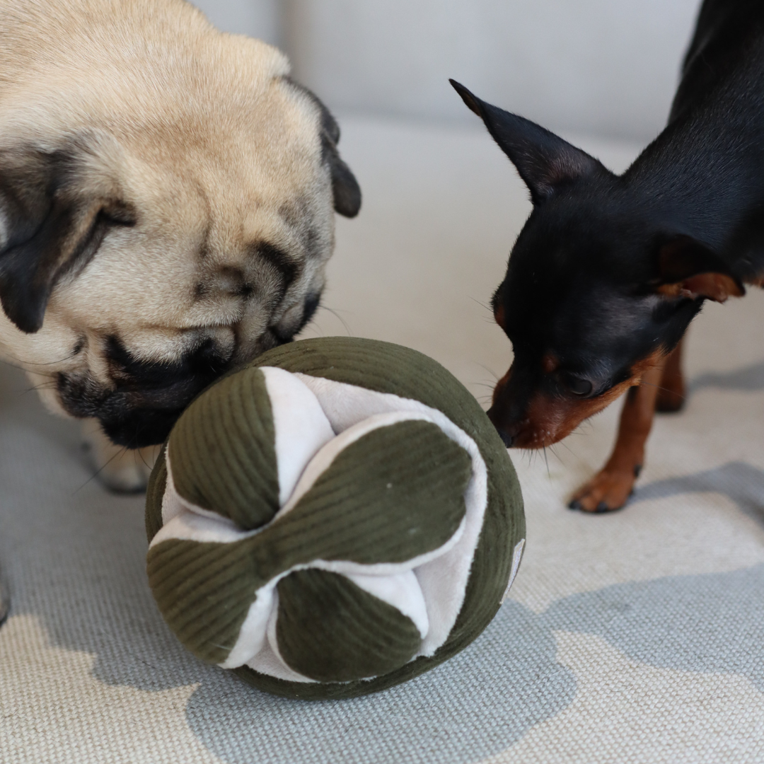 MONTI | Schnüffelball khaki