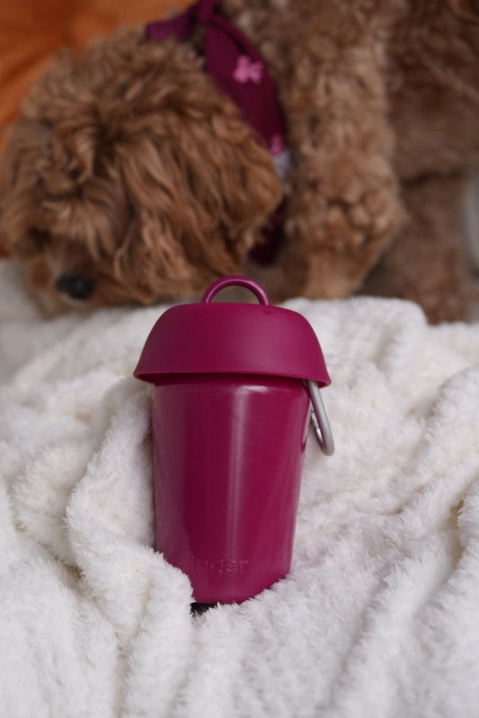 FLIP BOTTLE | Hundereisewasserflasche - RudisRudel