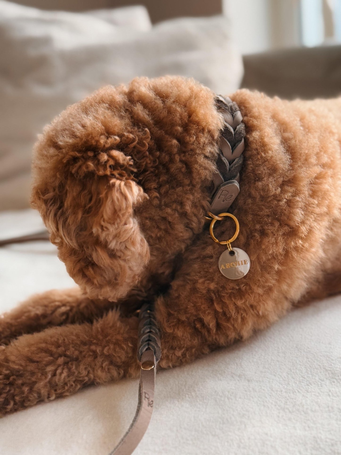 Geflochtenes Halsband aus Fettleder | BOHO CHIC - RudisRudel