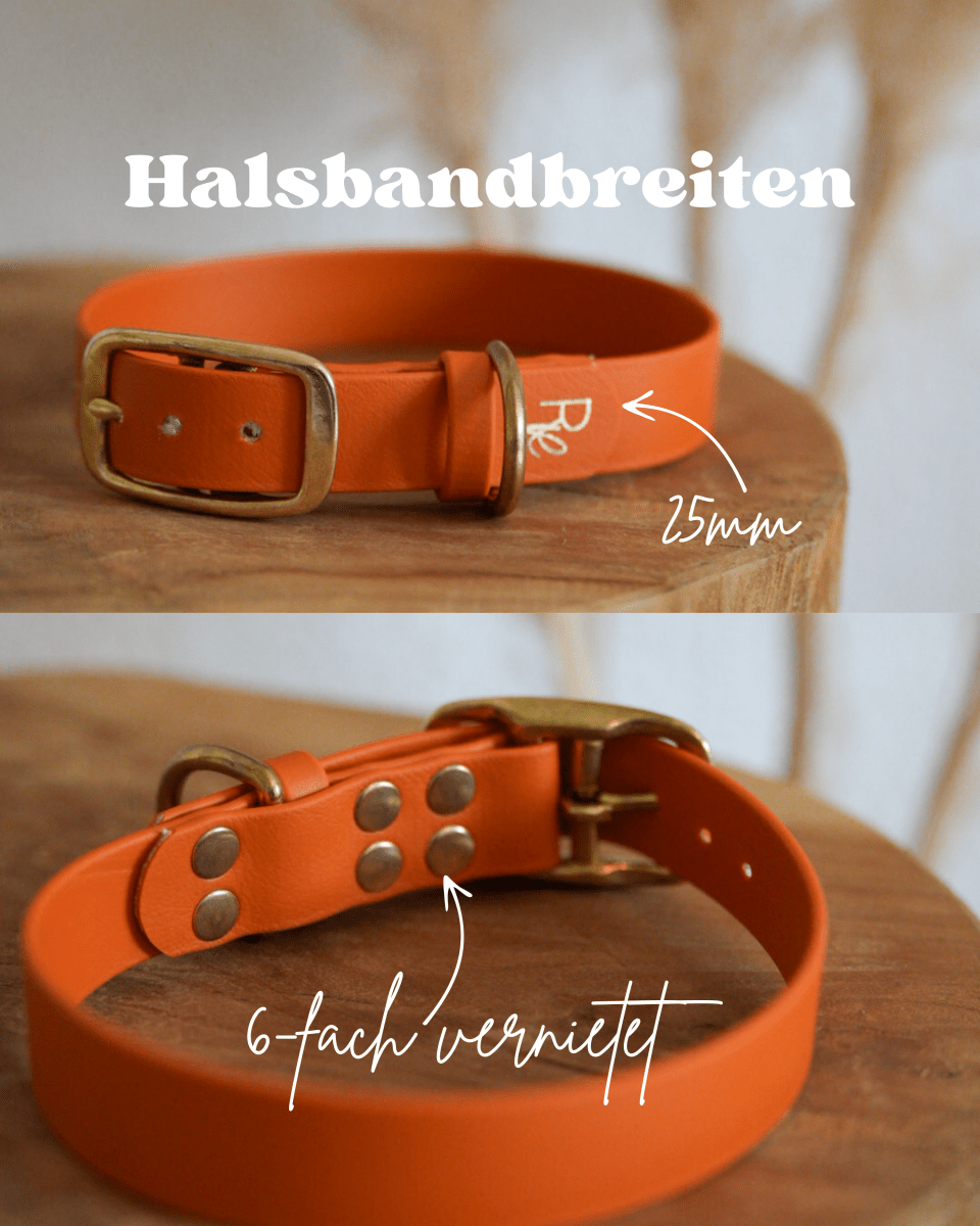 Halsband aus Biothane 16/19/25mm | SONDERFARBE BRAUN - RudisRudel