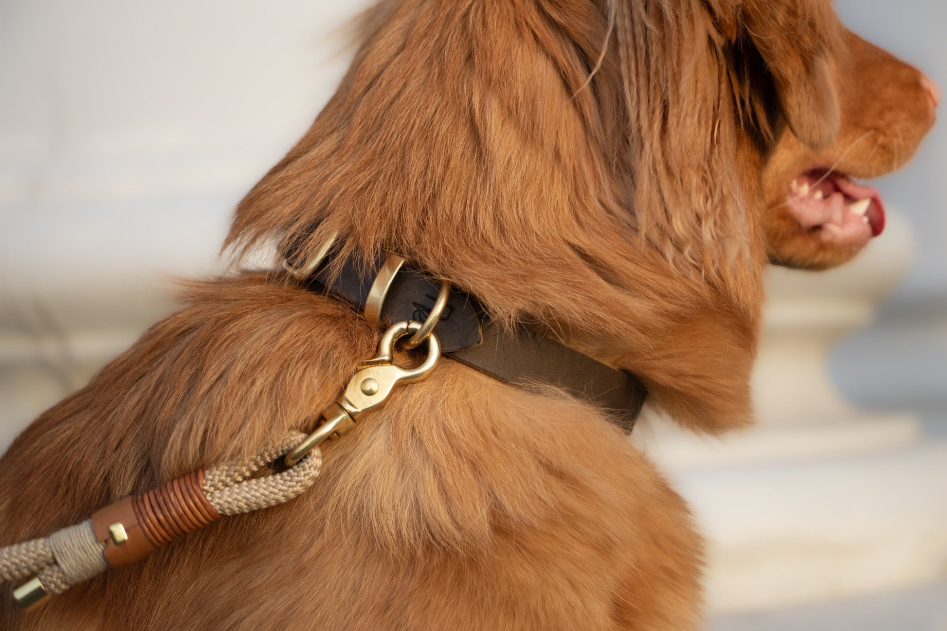 Halsband aus Fettleder | BOHO CHIC - RudisRudel