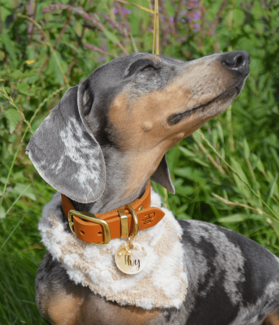 Halsband aus Fettleder | BOHO CHIC - RudisRudel