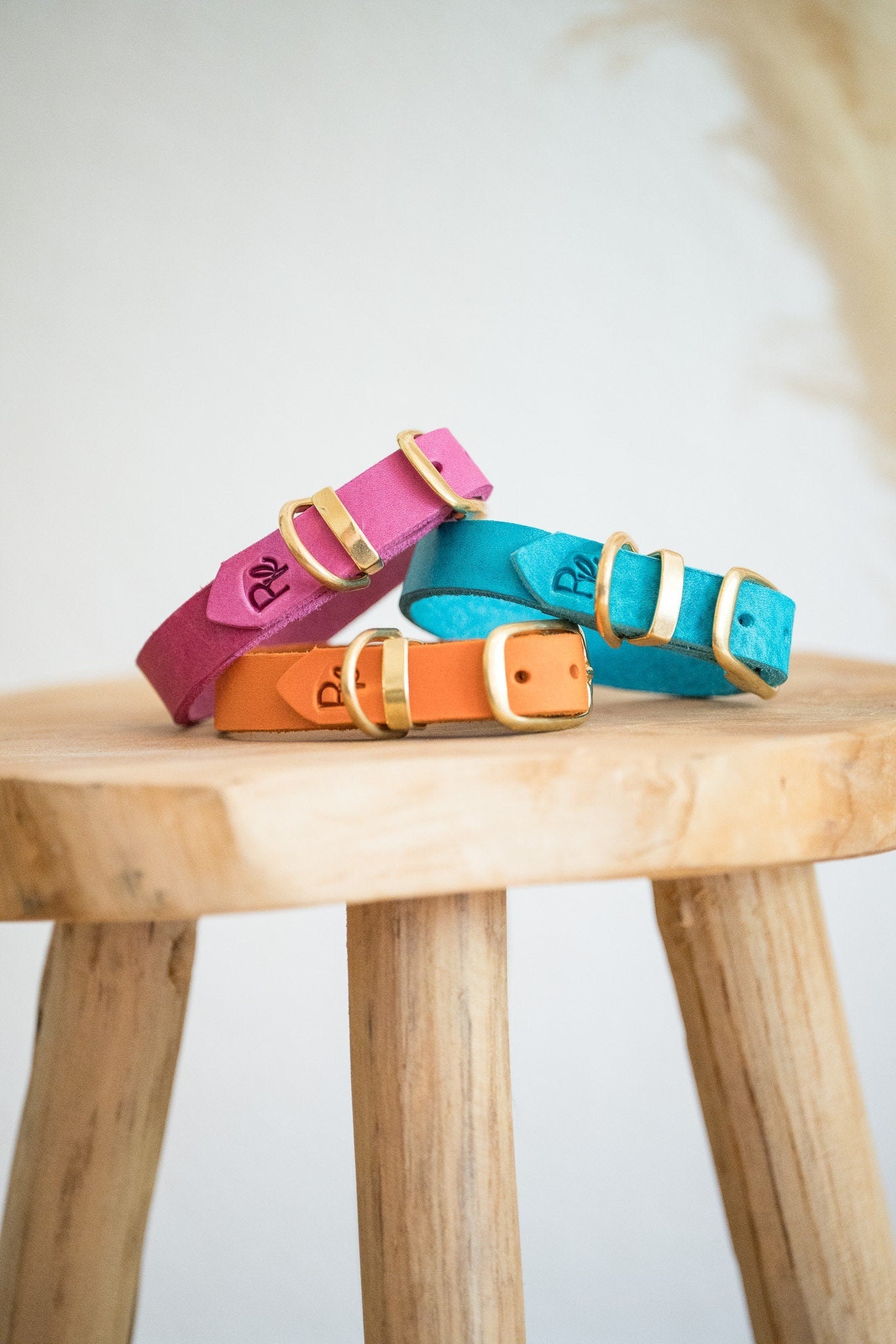 Halsband aus Fettleder | COLOUR CLASH - RudisRudel