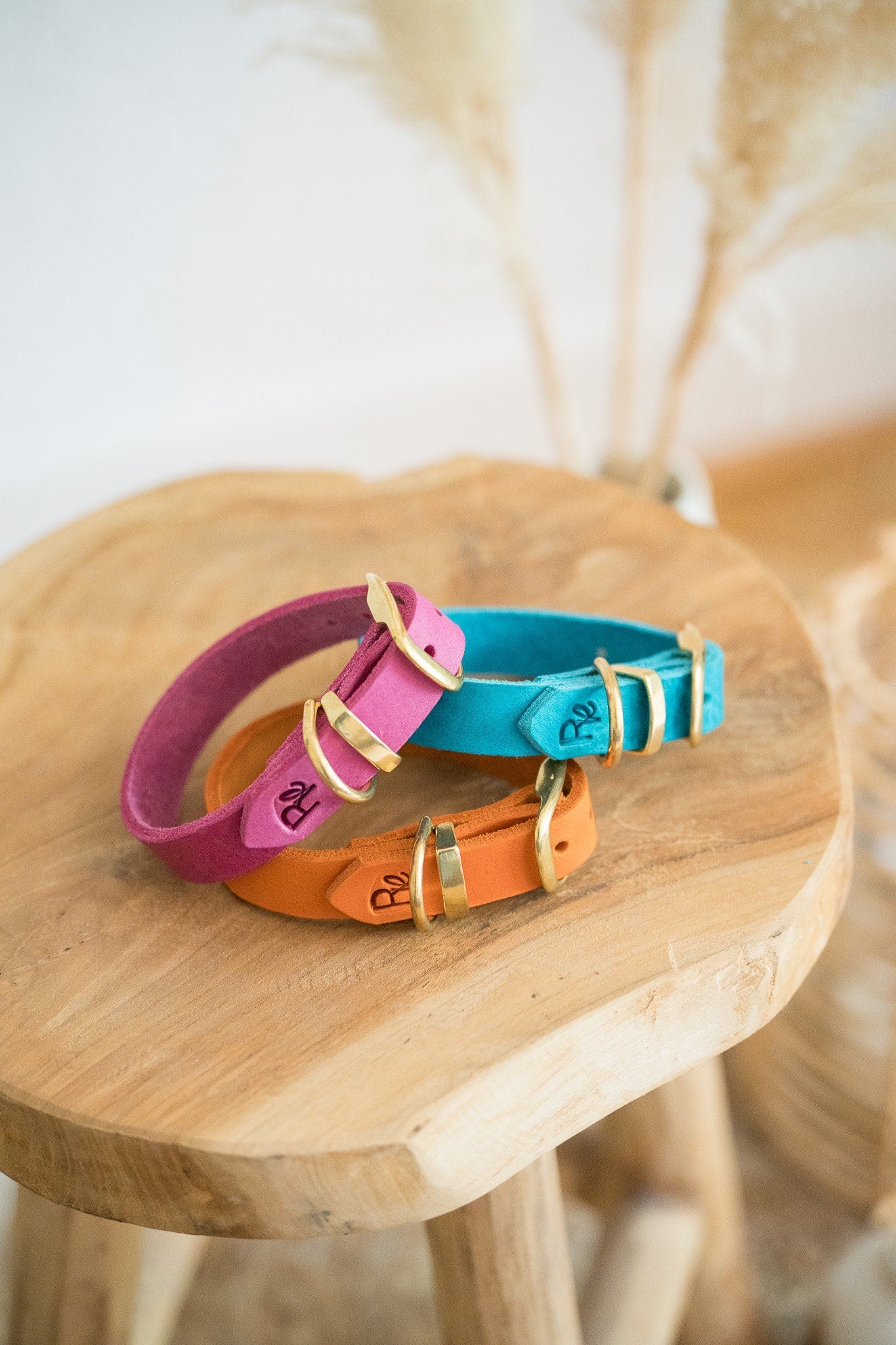 Halsband aus Fettleder | COLOUR CLASH - RudisRudel