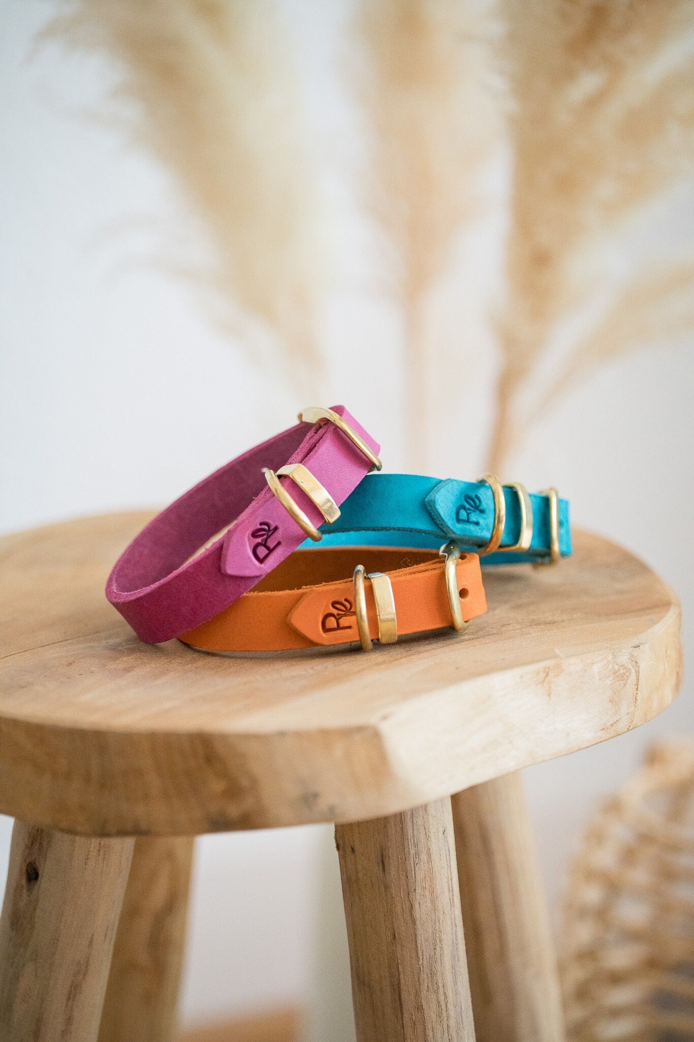Halsband aus Fettleder | COLOUR CLASH - RudisRudel