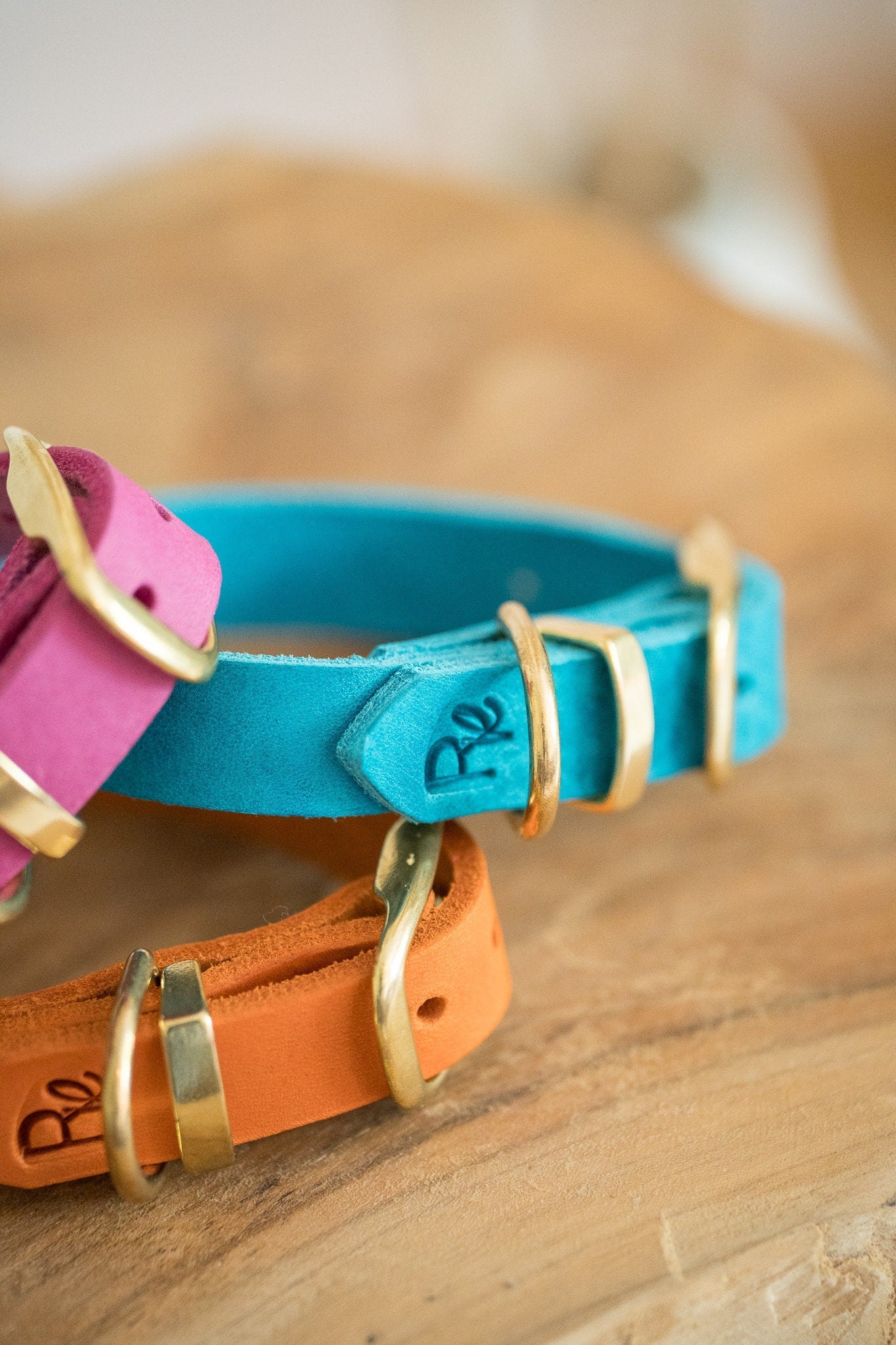Halsband aus Fettleder | COLOUR CLASH - RudisRudel