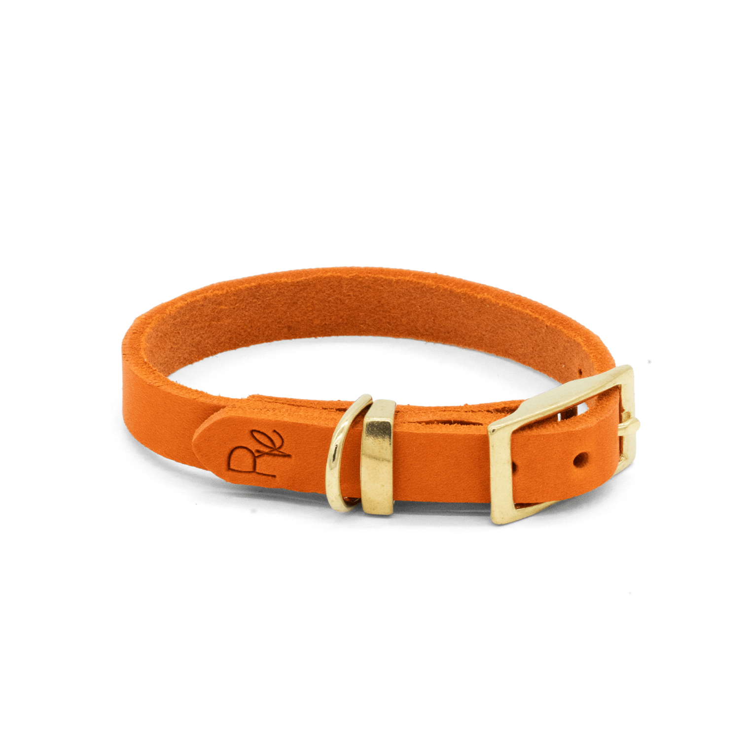 Halsband aus Fettleder | COLOUR CLASH - RudisRudel