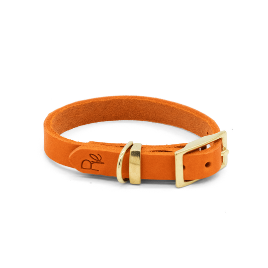 Halsband aus Fettleder | COLOUR CLASH - RudisRudel