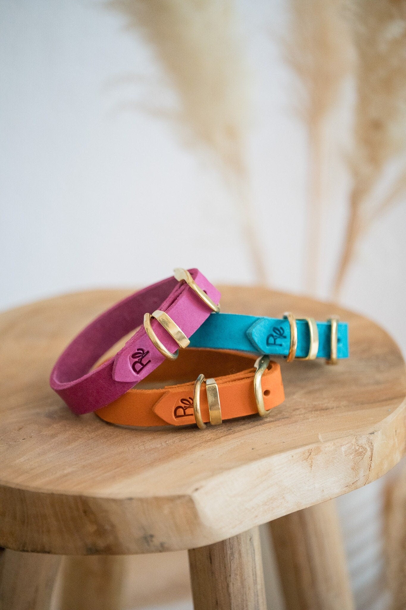 Halsband aus Fettleder | COLOUR CLASH - RudisRudel