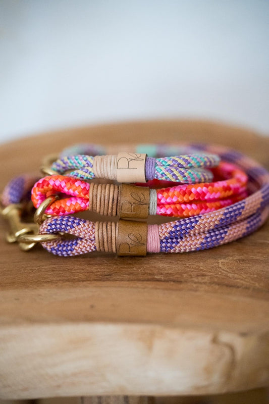 Halsband aus Tauseil | COLOUR CLASH - RudisRudel