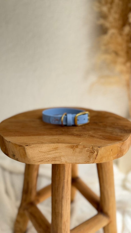 Halsband Biothane 19mm BABY BLAU HU 29/ NOCH BESTIMMBAR - RudisRudel