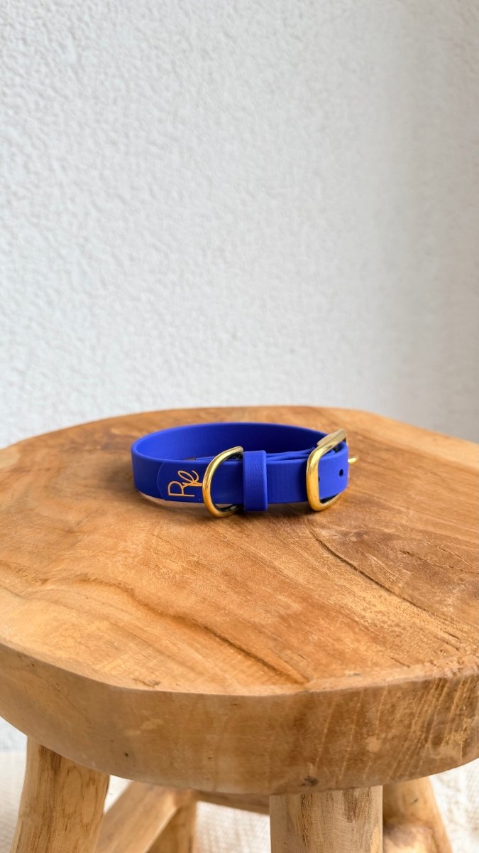 Halsband Biothane 19mm ELECTRIC BLAU HU 25 - RudisRudel