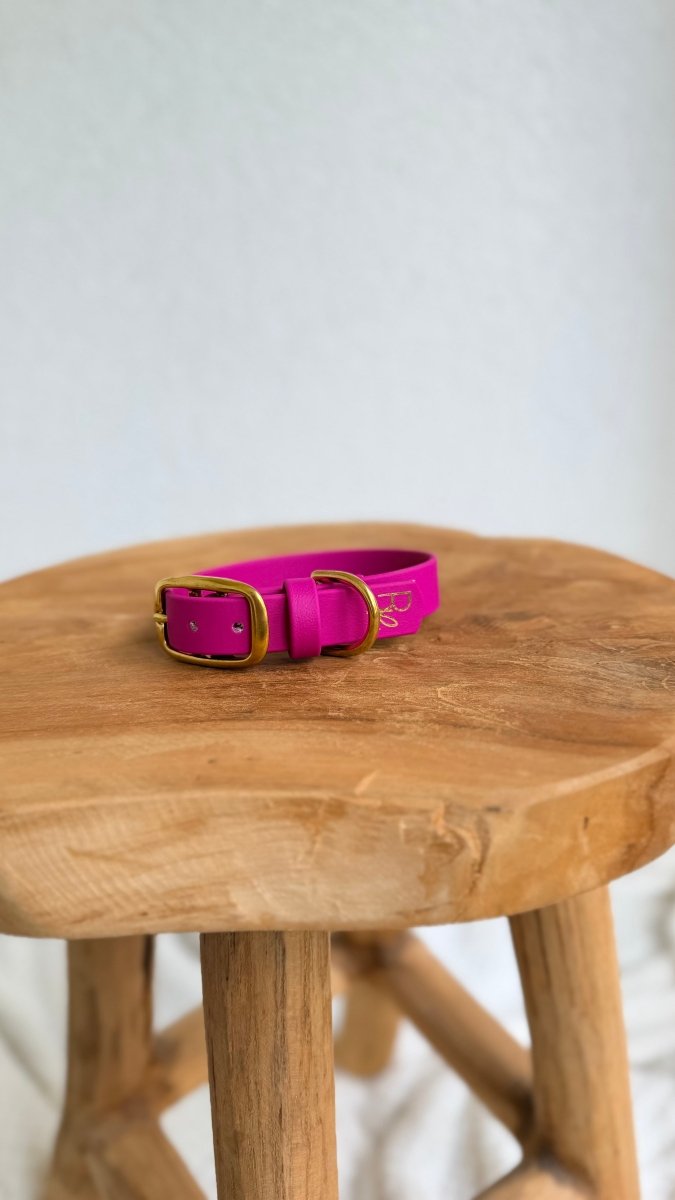 Halsband Biothane 19mm PASSION PINK HU 26 | COLOUR CLASH COLLECTION - RudisRudel