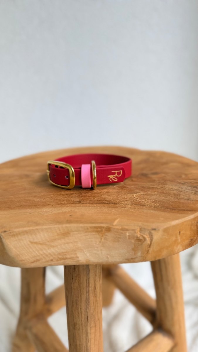 Halsband Biothane 19mm RUBY RED HU 26 | COLOUR MIX - RudisRudel