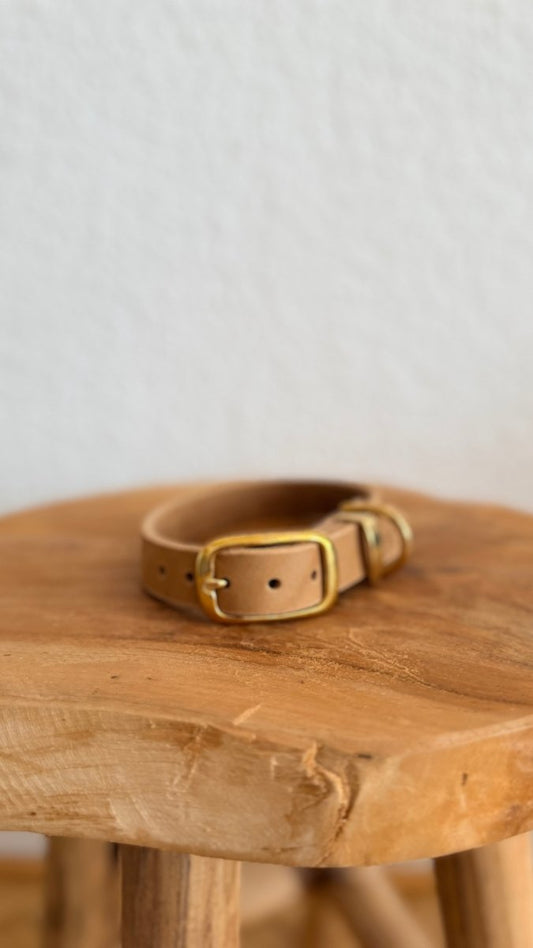 Halsband Fettleder 20mm BEIGE HU 31 - RudisRudel