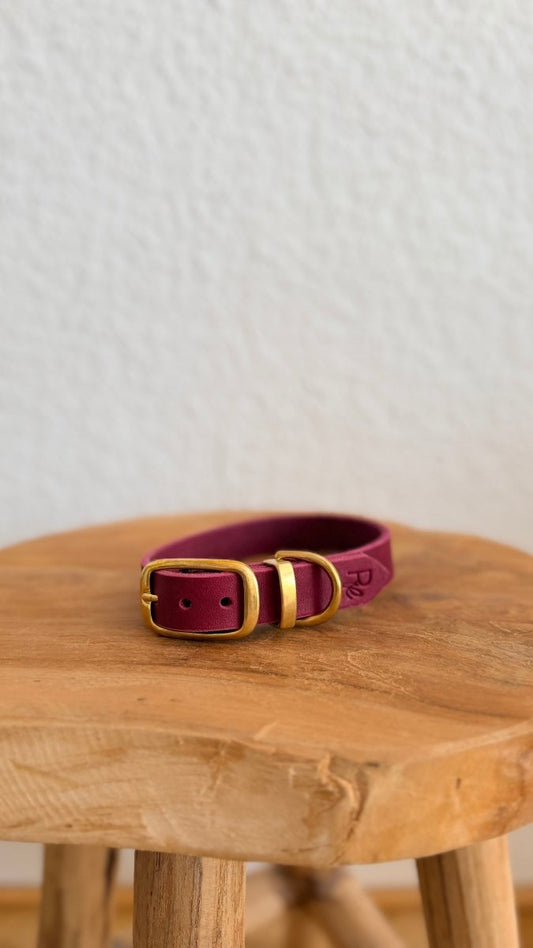 Halsband Fettleder 20mm BURGUNDY HU 31 - RudisRudel