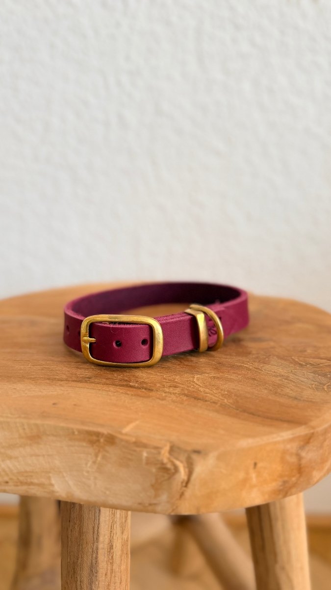 Halsband Fettleder 20mm BURGUNDY HU 35 - RudisRudel