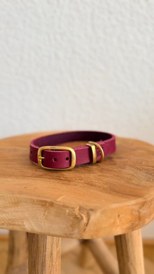 Halsband Fettleder 20mm BURGUNDY HU 35 - RudisRudel
