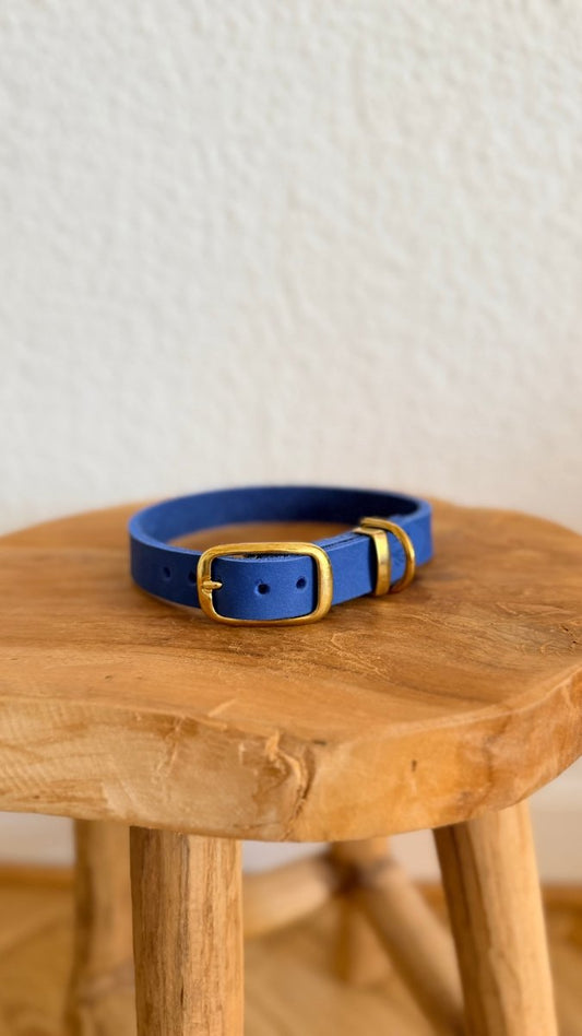 Halsband Fettleder 20mm ELECTRIC BLAU HU 37 - RudisRudel