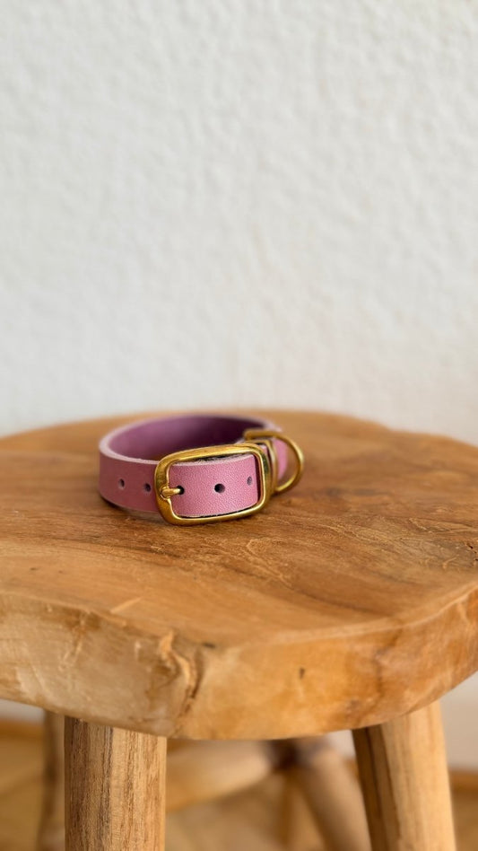 Halsband Fettleder 20mm FLIEDER HU 28 - RudisRudel
