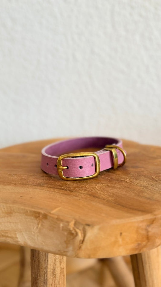 Halsband Fettleder 20mm FLIEDER HU 32 - RudisRudel