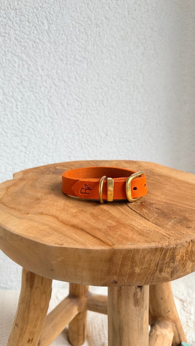 Halsband Fettleder 20mm ORANGE SPRITZ HU 25 - RudisRudel