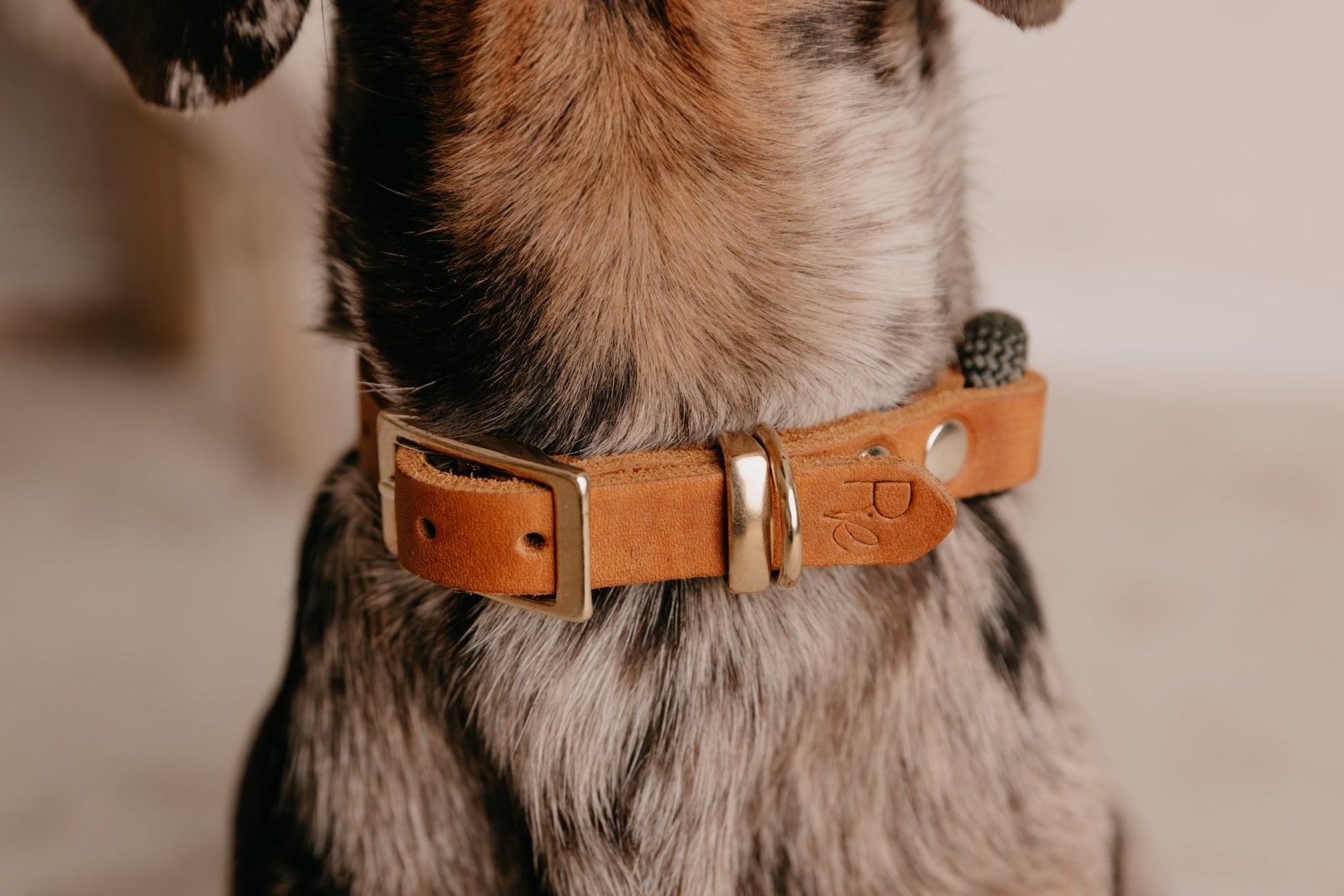 Halsband Tau x Fettleder | BOHO CHIC - RudisRudel