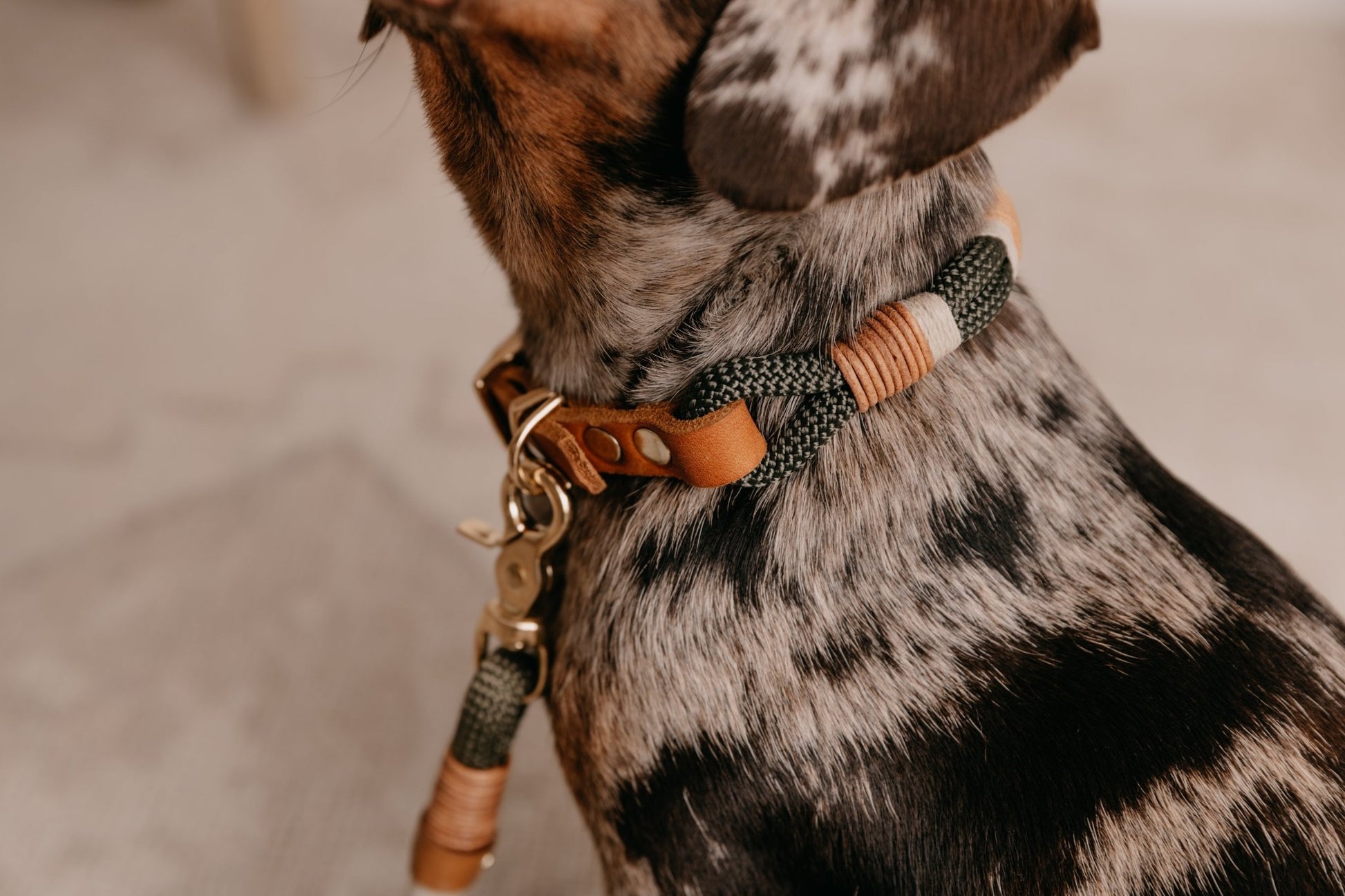 Halsband Tau x Fettleder | BOHO CHIC - RudisRudel