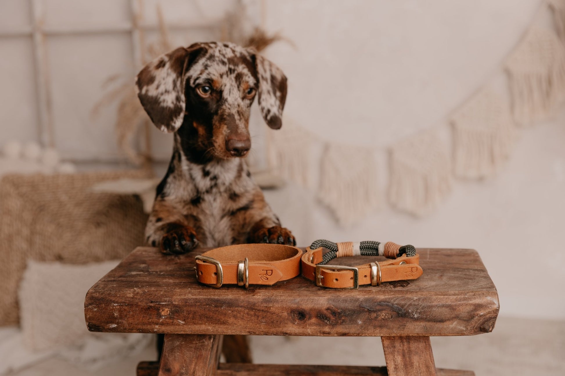 Halsband Tau x Fettleder | BOHO CHIC - RudisRudel