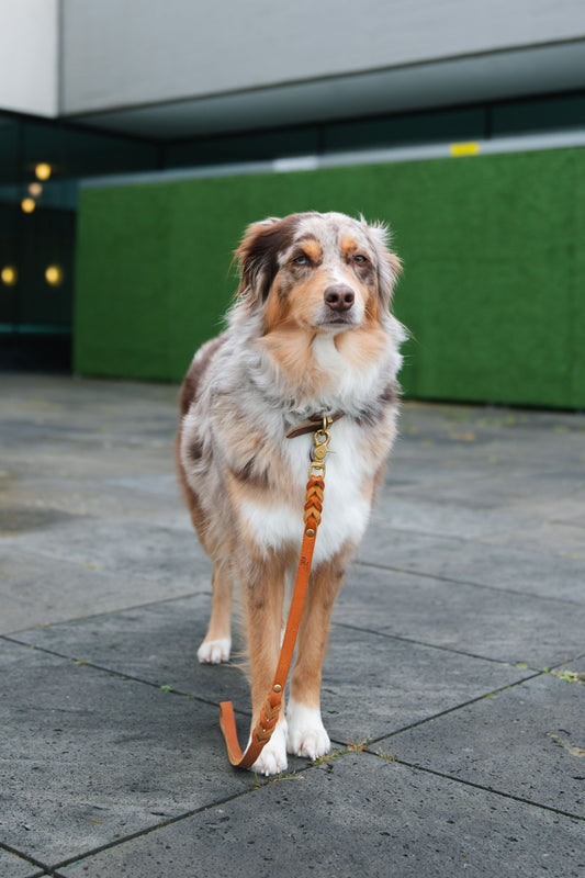 Handschlaufe/Kurzführer aus Fettleder | BOHO CHIC - RudisRudel