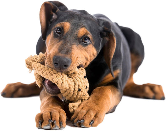 HEINRICH HASE | Kauspielzeug - RudisRudel